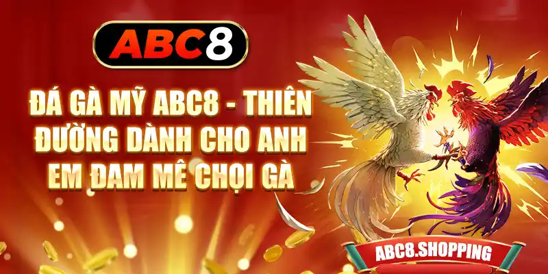 Đá Gà Mỹ ABC8 - Thiên Đường Dành Cho Anh Em Đam Mê Chọi Gà