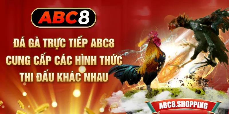 Đá gà trực tiếp ABC8 cung cấp các hình thức thi đấu khác nhau