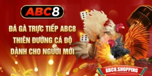 Đá Gà Trực Tiếp ABC8 - Thiên Đường Cá Độ Dành Cho Người Mới