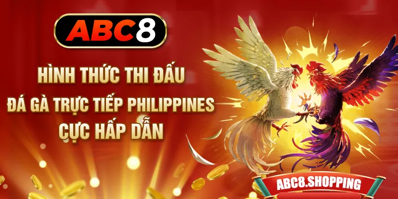 Hình thức thi đấu đá gà trực tiếp Philippines cực hấp dẫn