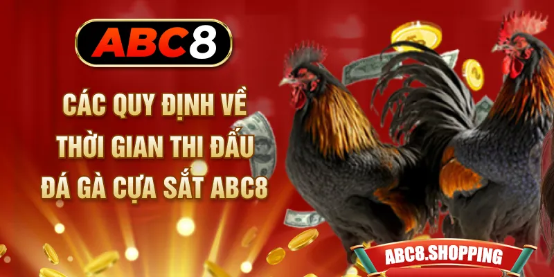 Các quy định về thời gian thi đấu đá gà cựa sắt ABC8