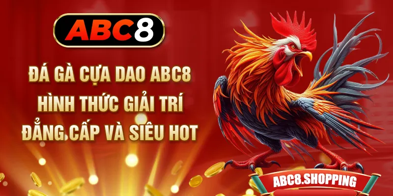 Đá Gà Cựa Dao ABC8 - Hình Thức Giải Trí Đẳng Cấp Và Siêu Hot